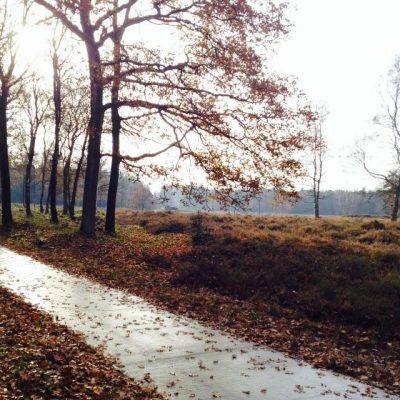 Herfstfoto_Kanteljaar2026